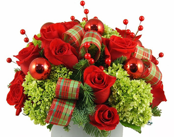 Christmas Flowers